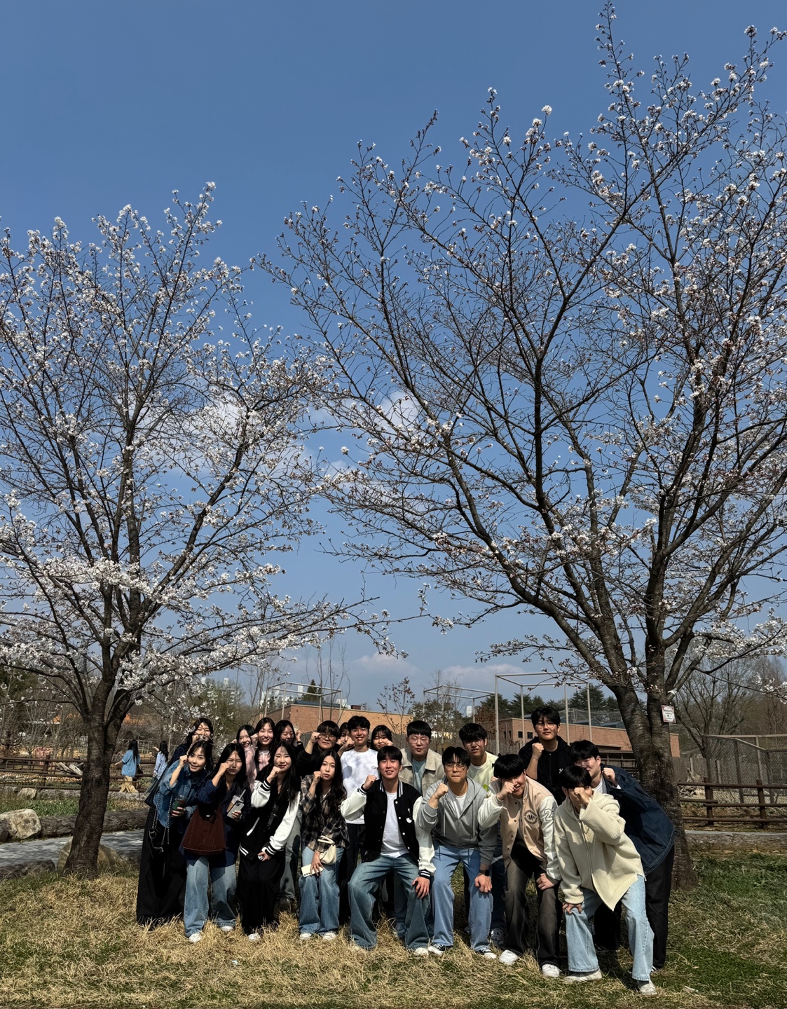 2025 필드x다이스x매쓰매니아 벚꽃놀이 (4/4) 3번째 첨부파일 이미지